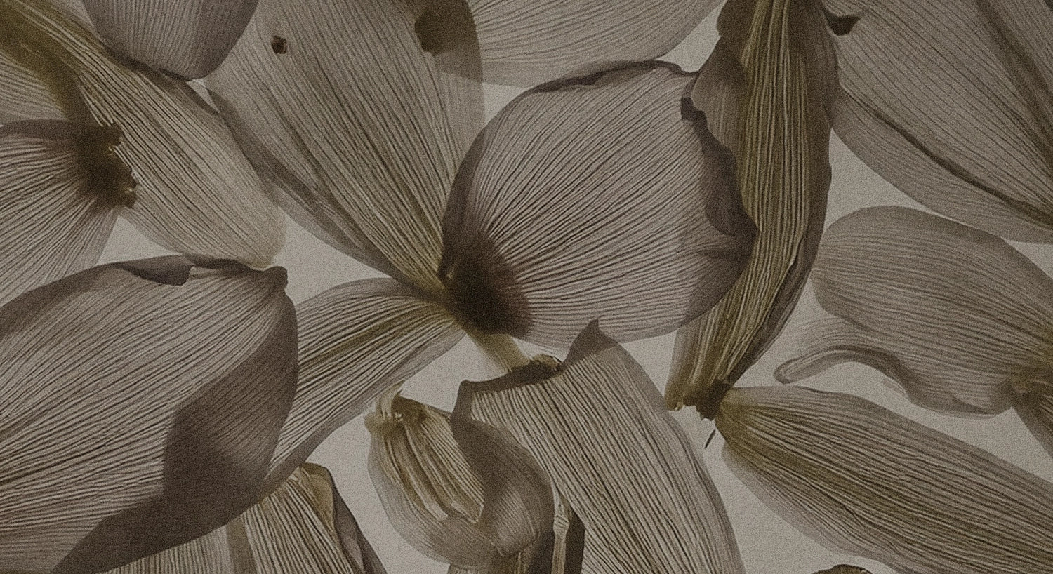Close-up of beige floral pattern on a beige background