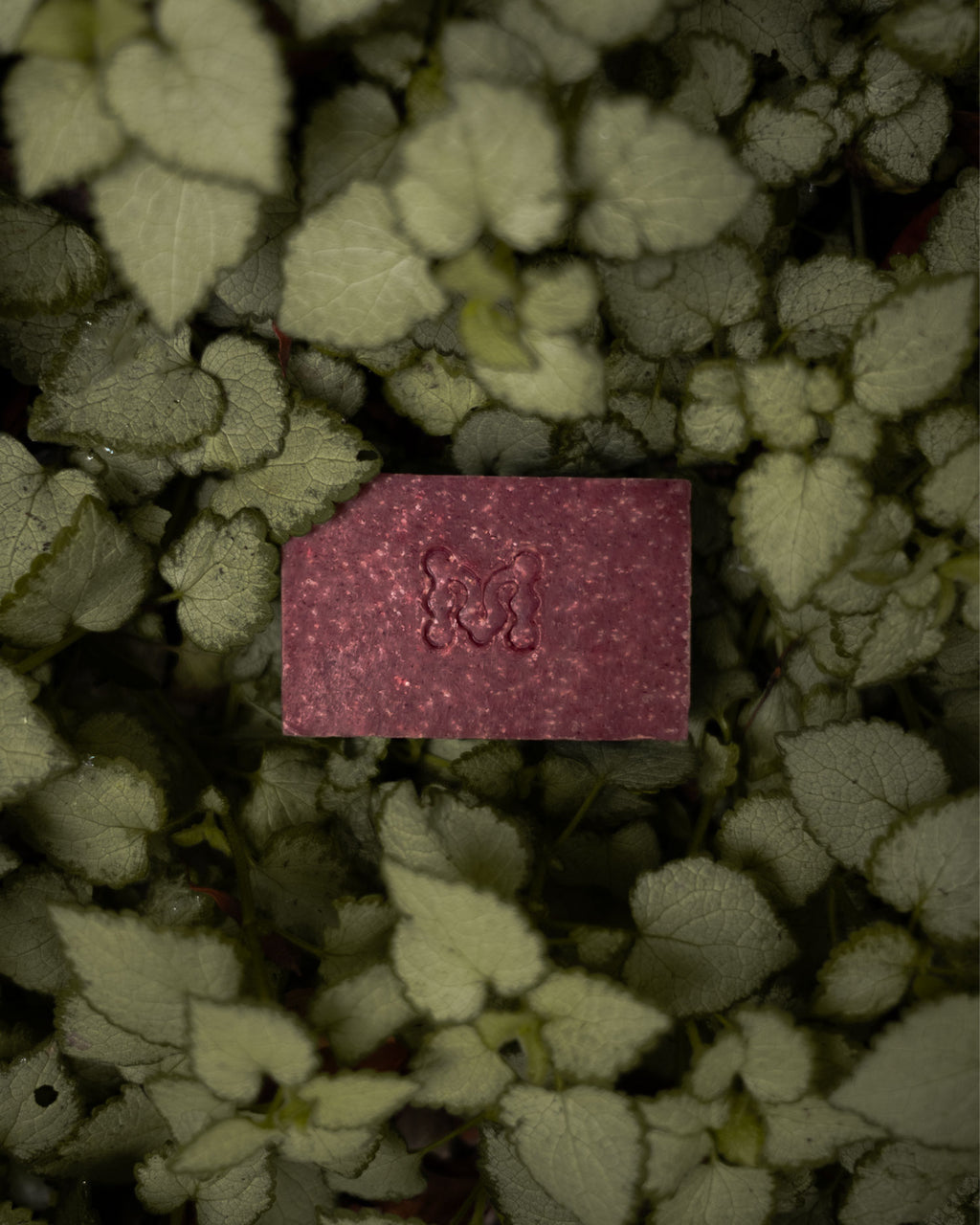 Eden Soap Bar
