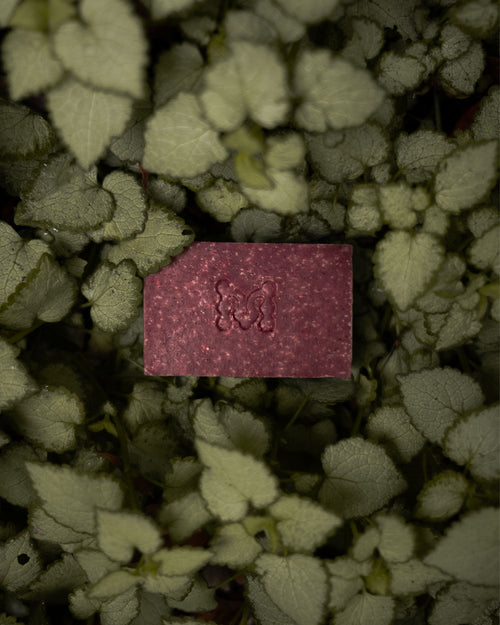 Eden Soap Bar