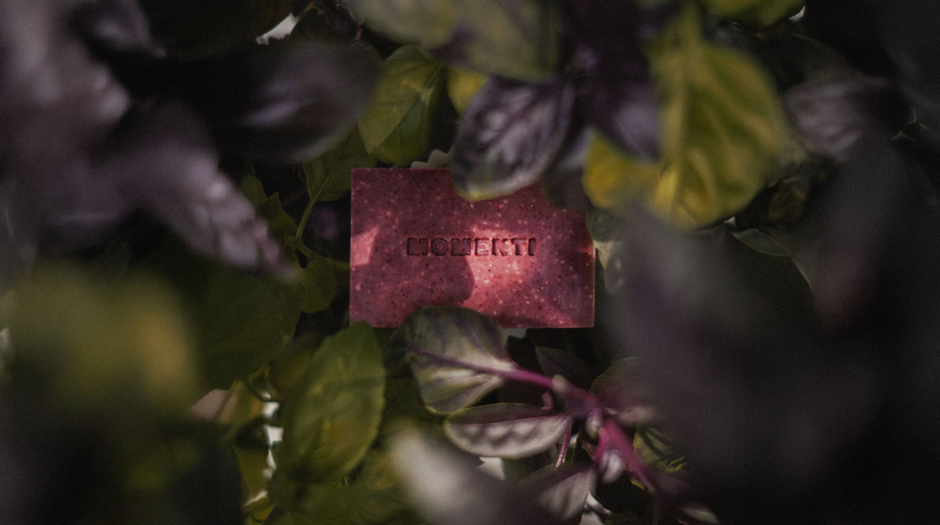 Red Momenti soap bar sitting in a bush of Basil leaves