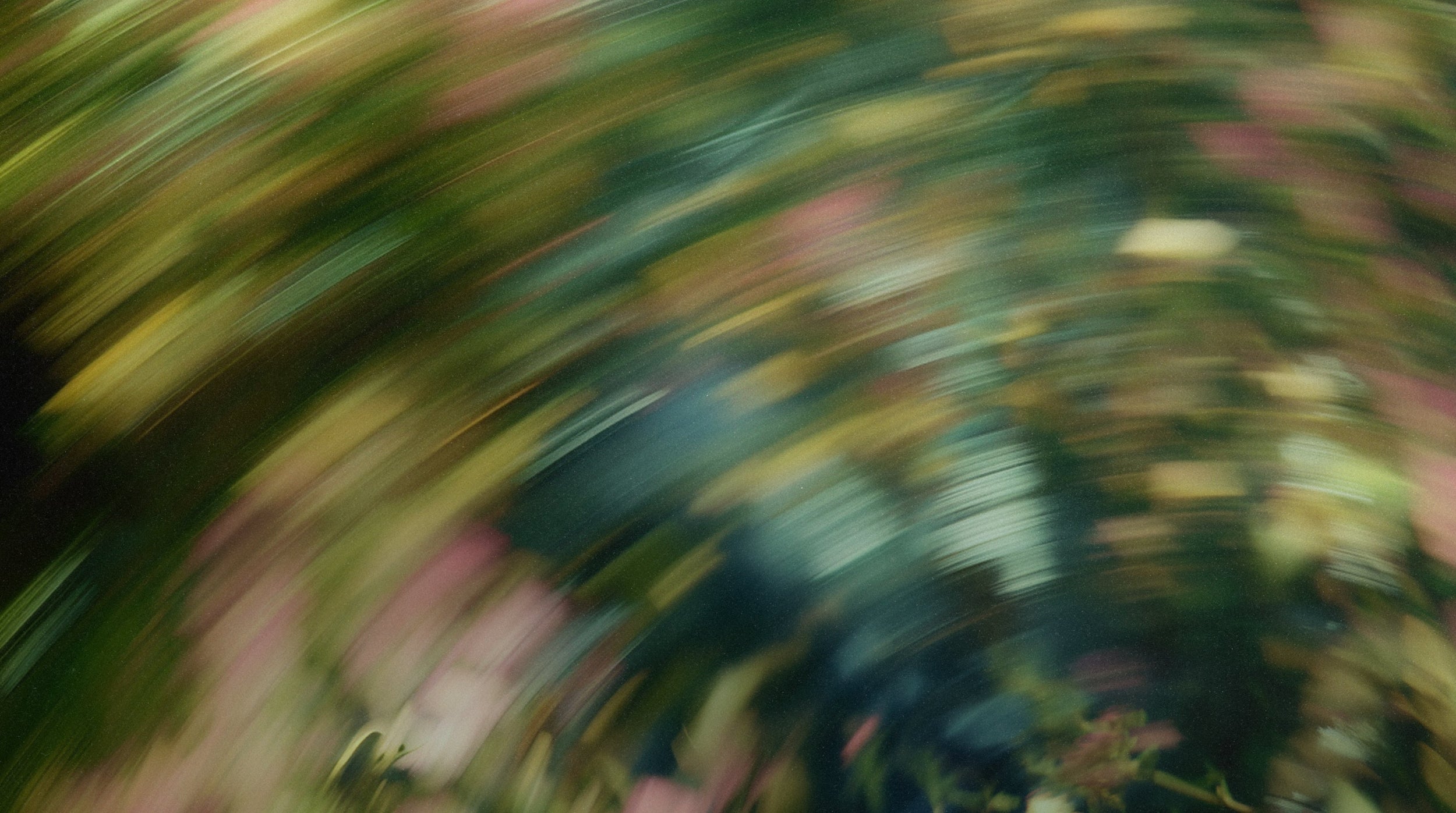 Motion blurred image of botanicals and flowers
