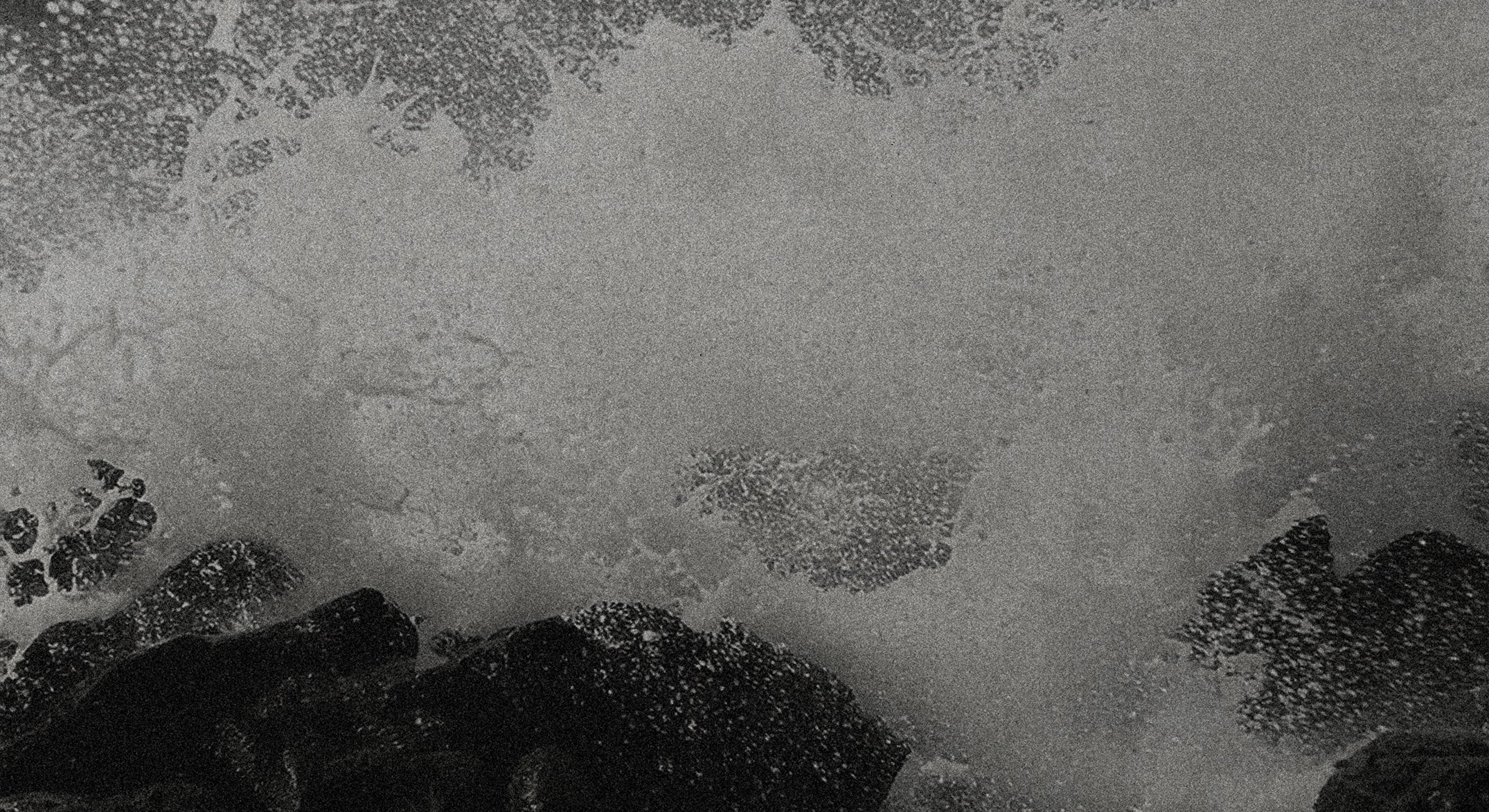 Close-up waves crashing on rocks in black and white